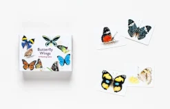 Butterfly Wings - A Matching Game