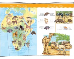 Djeco - 100 Piece Observation Puzzle World's Animals