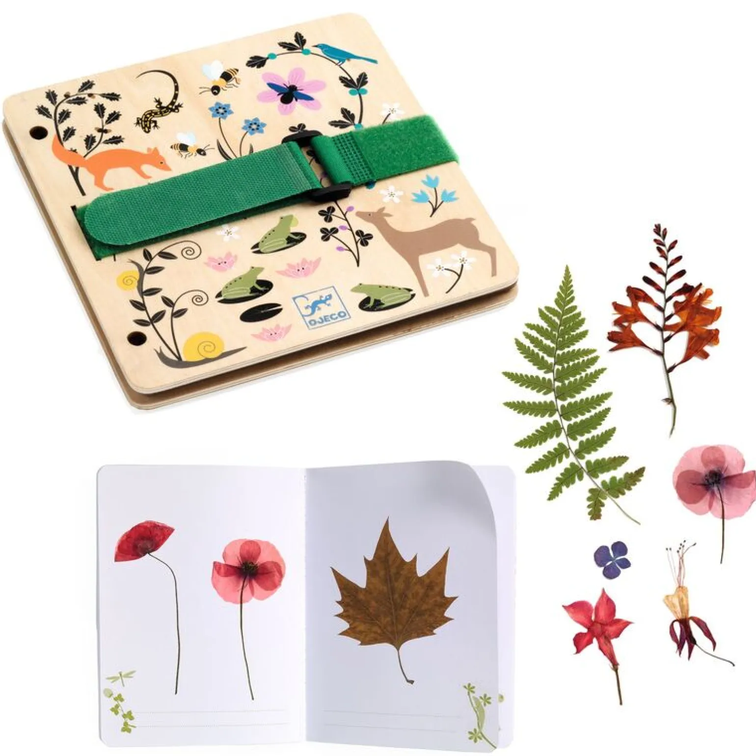 Djeco - Do It Yourself Botanist Kit