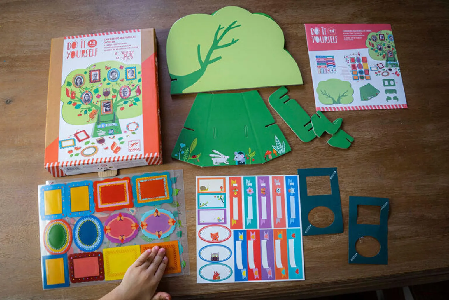 Djeco Do It Yourself Family Tree