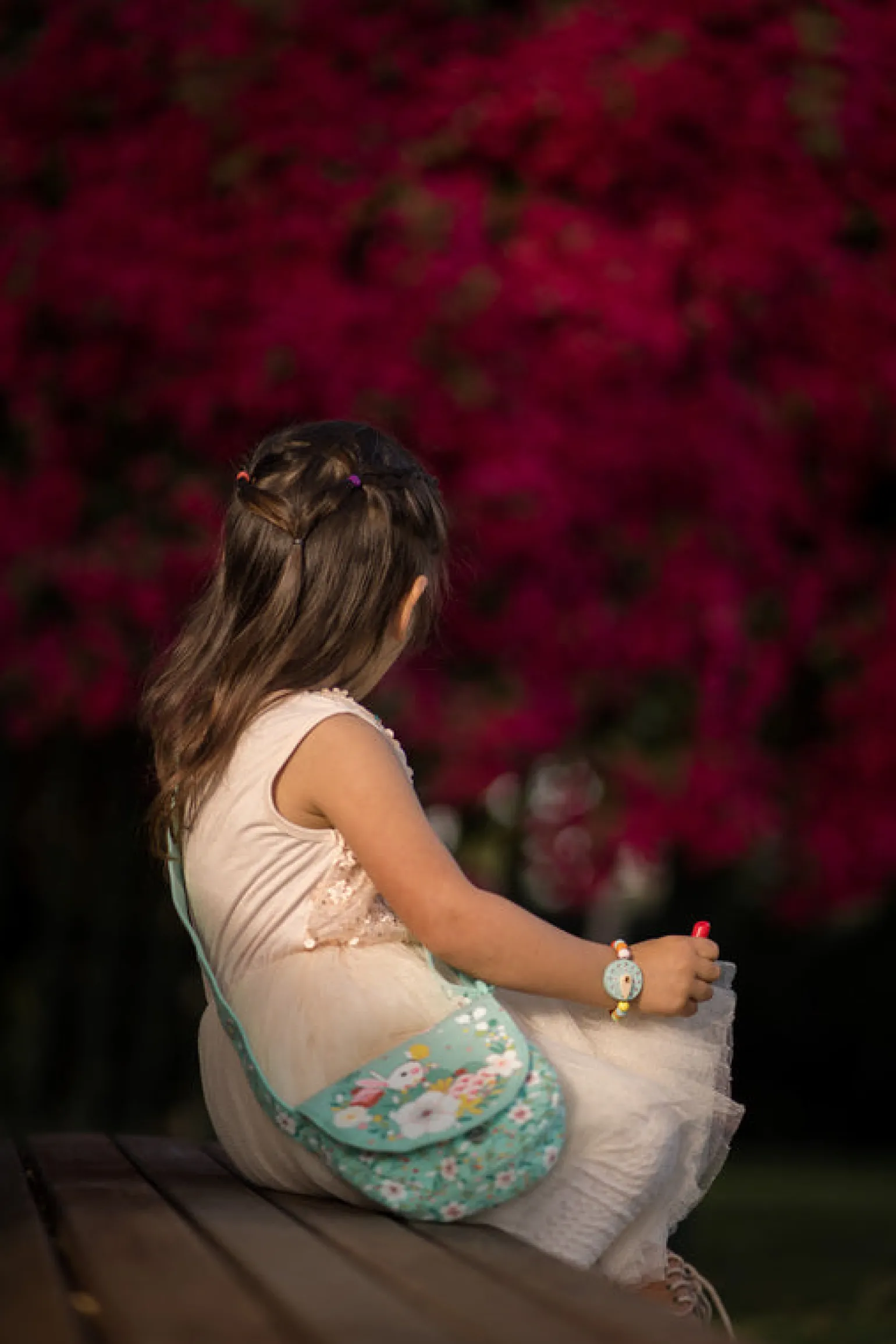 Djeco Lucy's Bag & Accessories