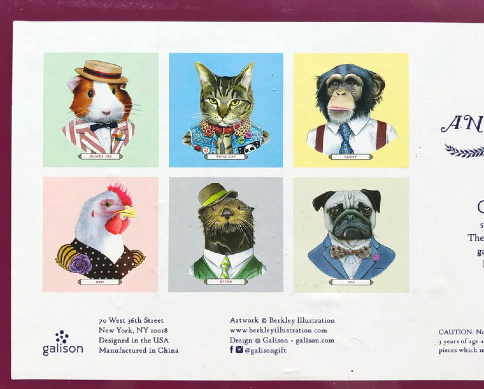 Galison - Animal Portrait Puzzles 6 X 25 Pieces In Multi Colour Print