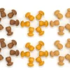 Grapat - Wooden Mandala Mushrooms