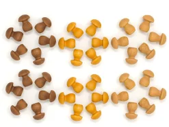 Grapat - Wooden Mandala Mushrooms