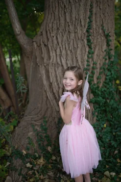 Great Pretenders Gold Butterfly Costume Dress With Wings