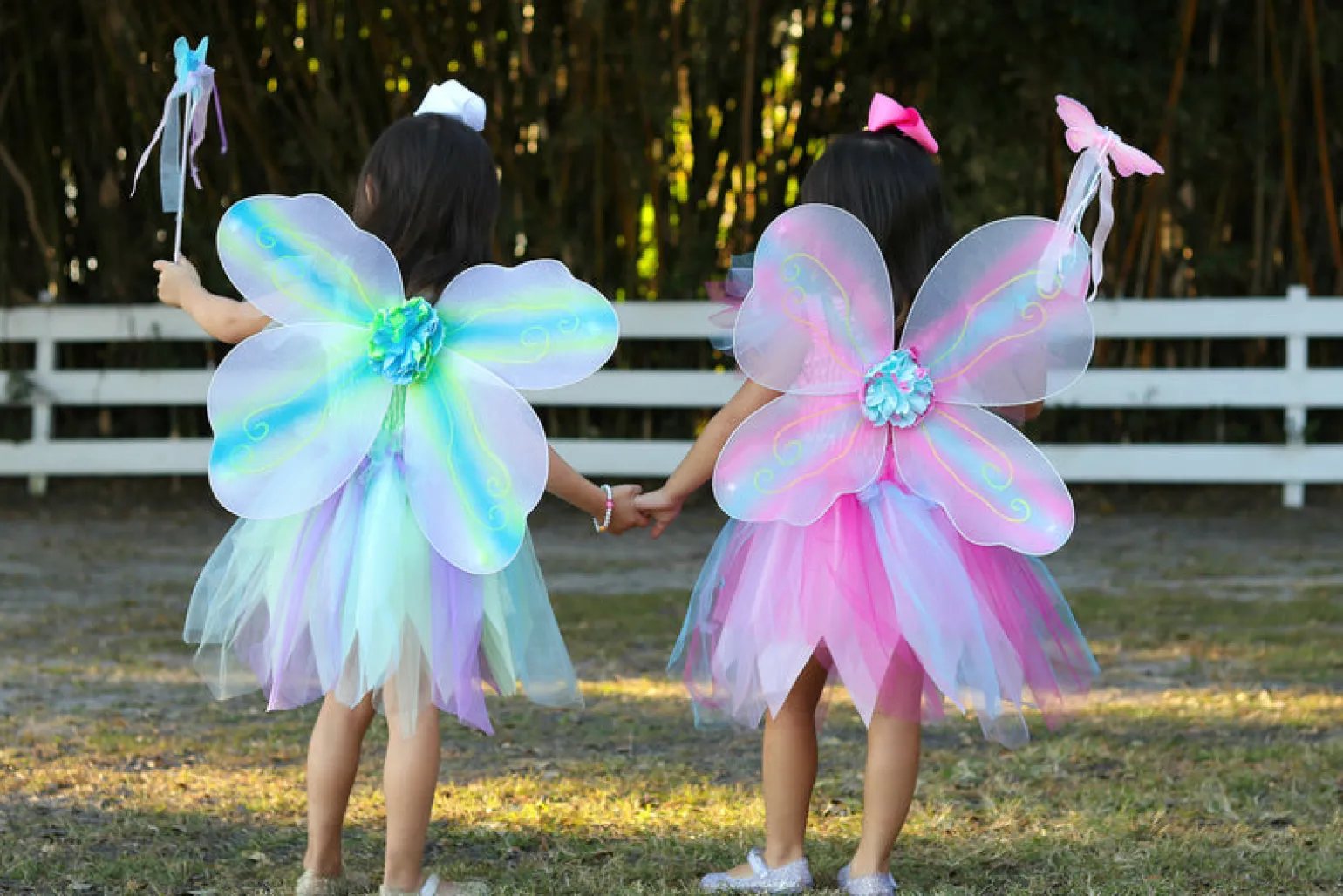 Great Pretenders Pink Butterfly Dress & Wings Costume With Wand