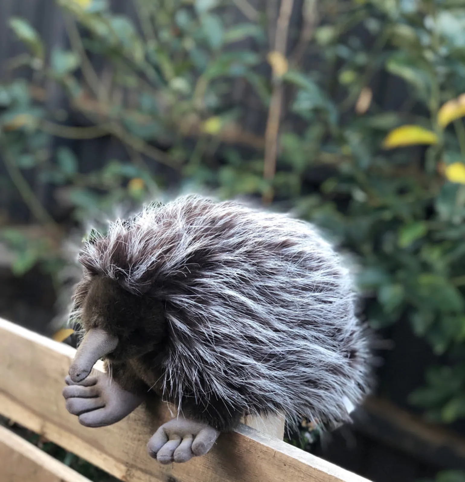Hansa - Echidna Soft Toy 34 Cm
