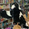 Hansa - Magpie Puppet
