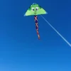 Harlequin Toys - Delta Turtle Kite