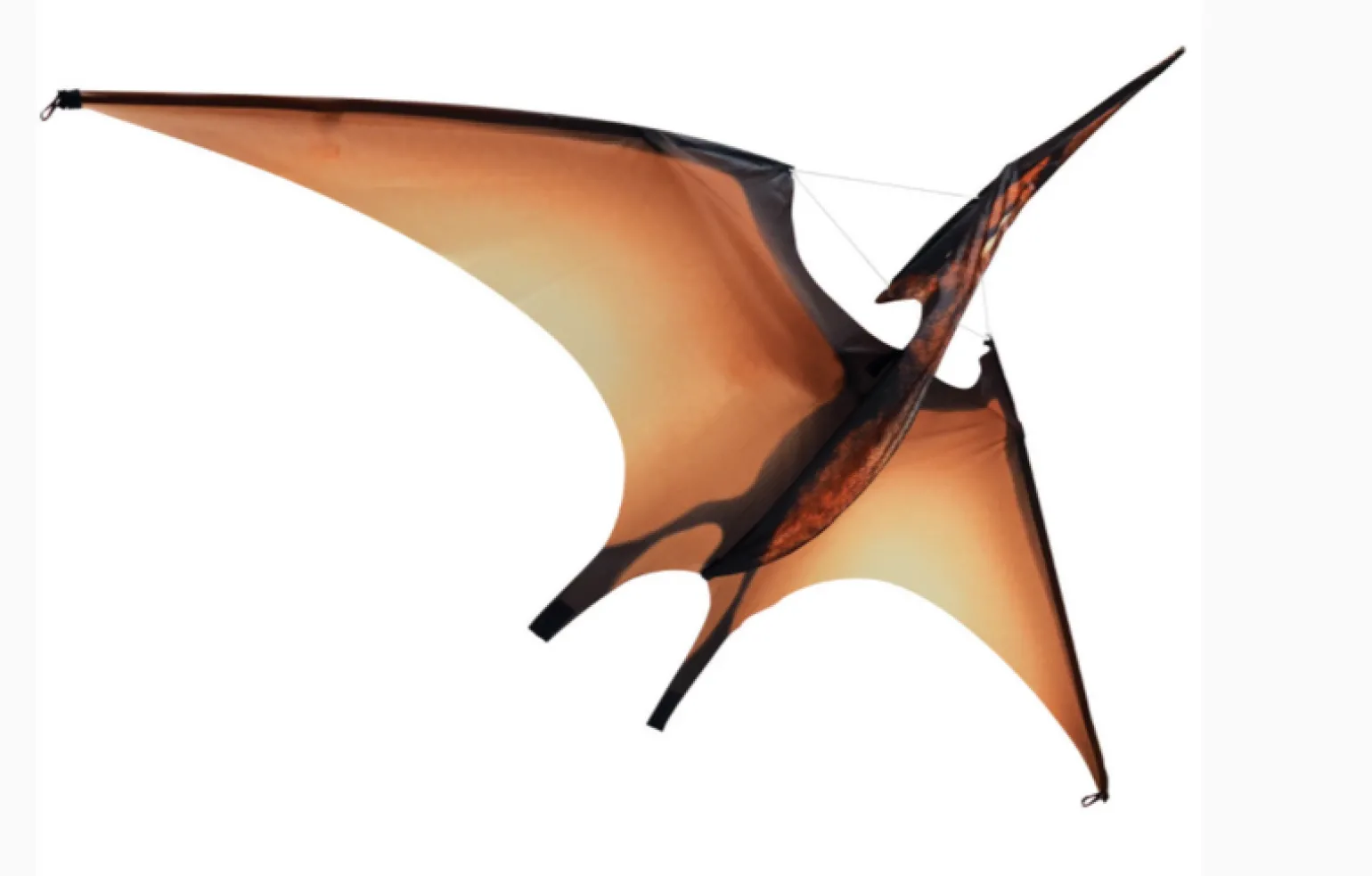 Jurassic Kites - Pterdactyl Kite