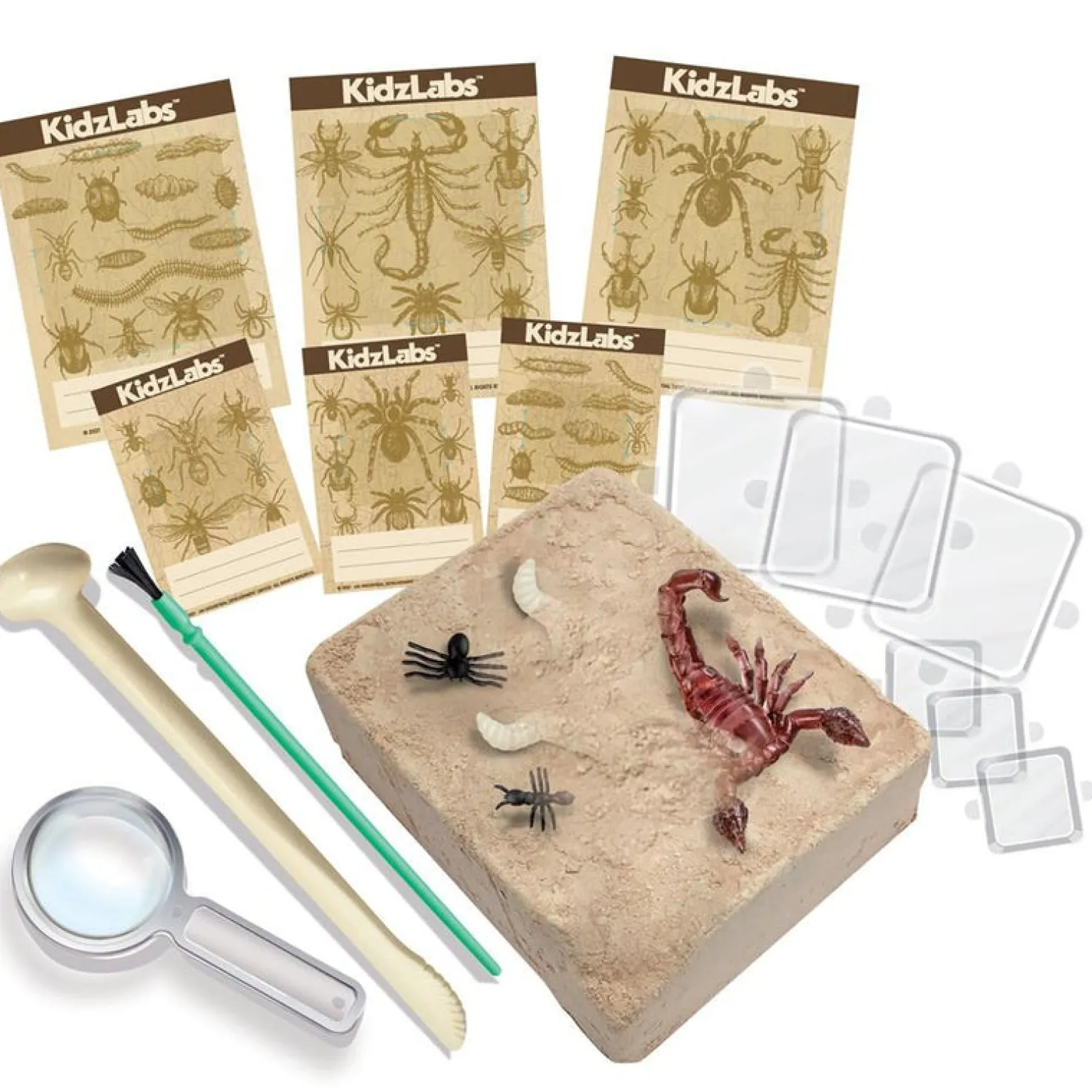 Kidz Labs - Creepy Crawly Digging Kit