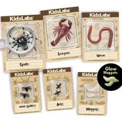 Kidz Labs - Creepy Crawly Digging Kit