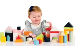 Le Toy Van - Building Blocks & Bag