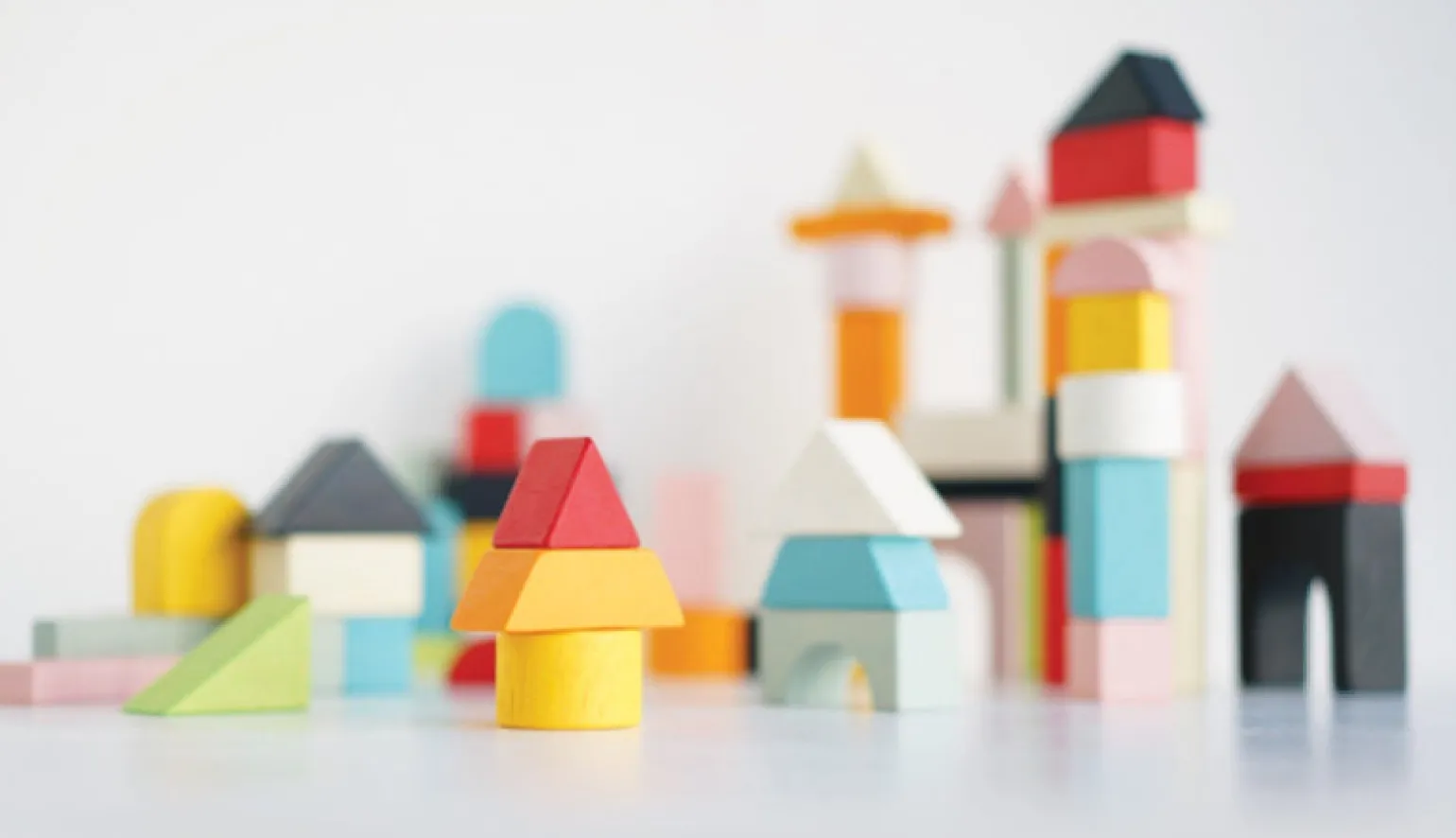 Le Toy Van - Building Blocks & Bag