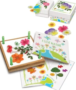 4M - Green Science, Pressed Flower Art