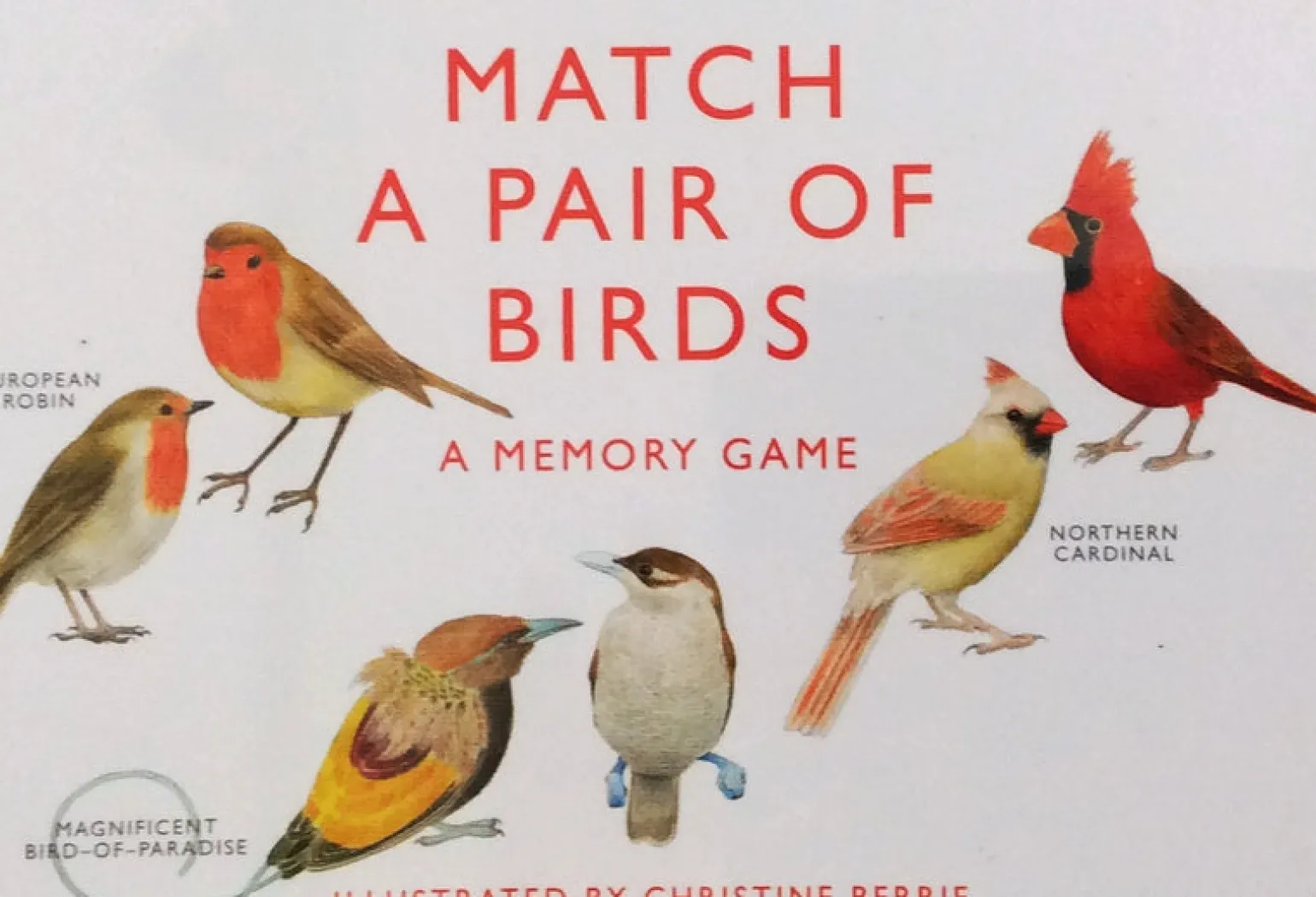 Match A Pair Of Birds - Memory Game