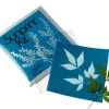 Mini Sunprint Kit - Solar Art
