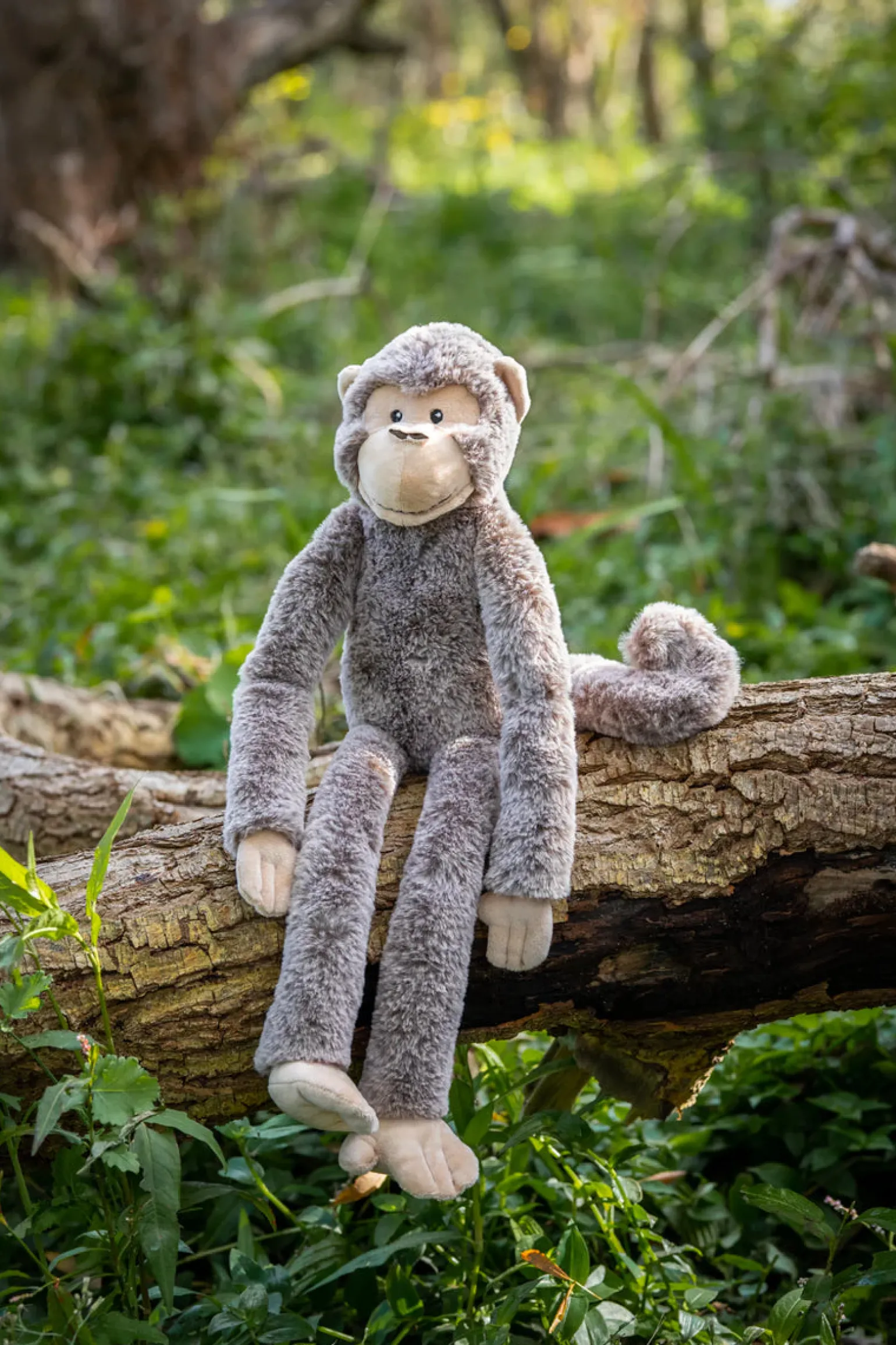 Nana Huchy- Mani The Monkey