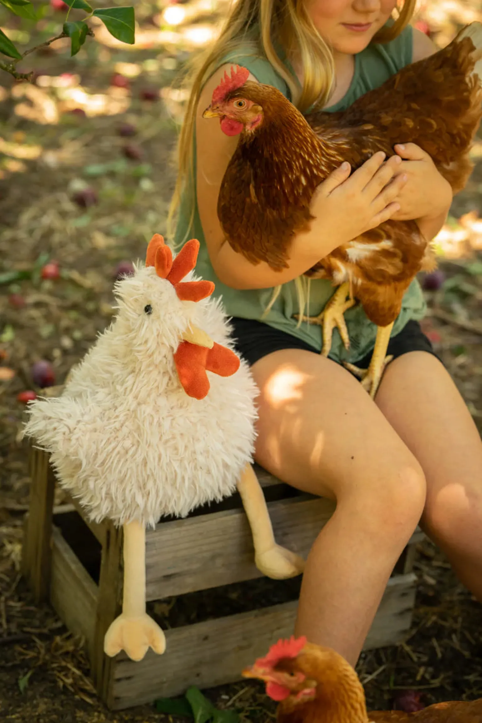 Nana Huchy- Roy The Rooster