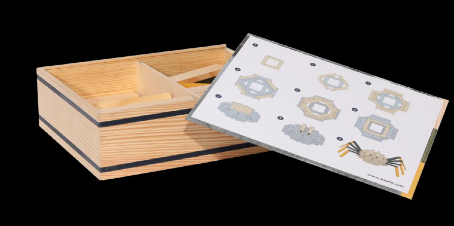 New Kapla Wooden Planks - Spider Set 75 Pieces