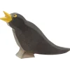 Ostheimer - Bird, Blackbird