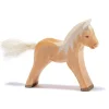 Ostheimer - Haflinger Colt