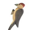 Ostheimer - Woodpecker