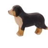 Ostheimer Burnese Mountain Dog