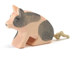 Ostheimer Spotted Piglet Sitting