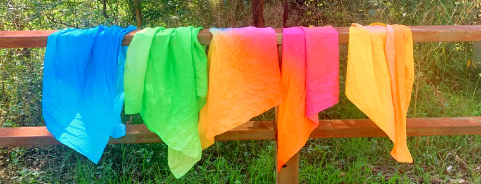 Play Silkies- Rainbow