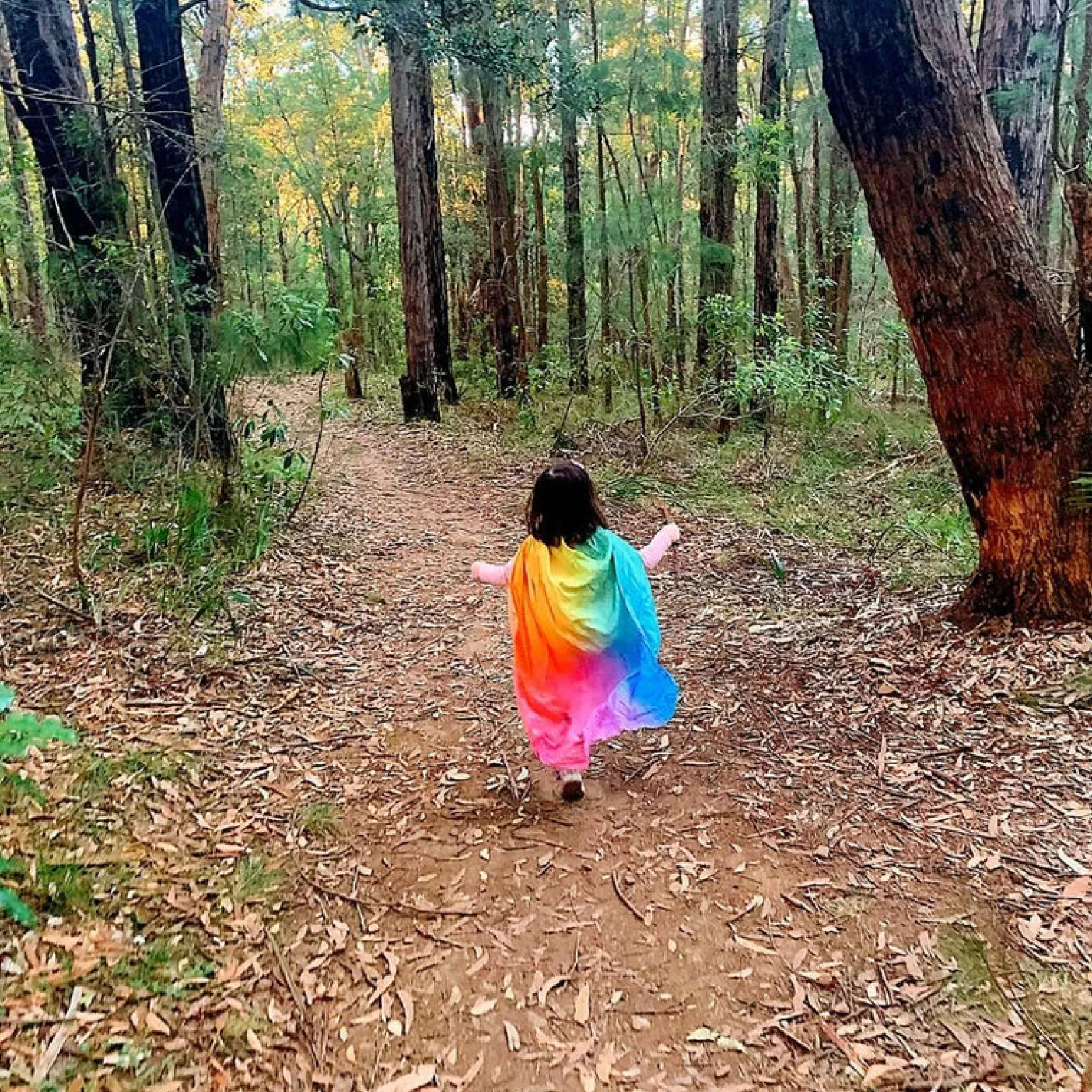 Play Silkies- Rainbow