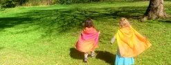 Play Silkies- Summer