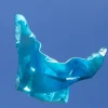 Play Silkies- Winter