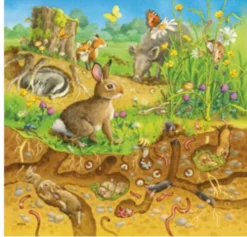 Ravensburger - Jigsaw Puzzle, 3 X49 Pieces, Animals In Their Habitats
