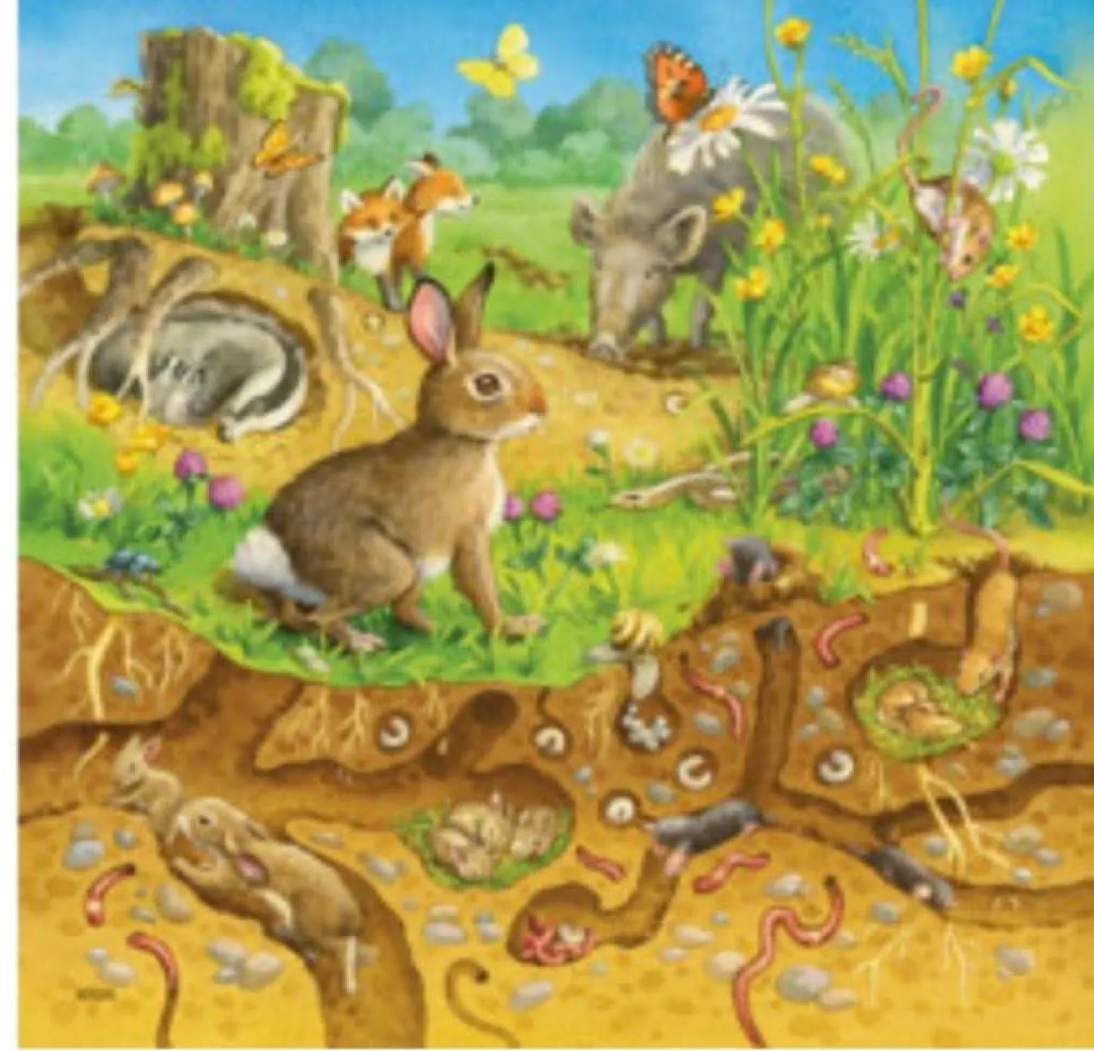 Ravensburger - Jigsaw Puzzle, 3 X49 Pieces, Animals In Their Habitats