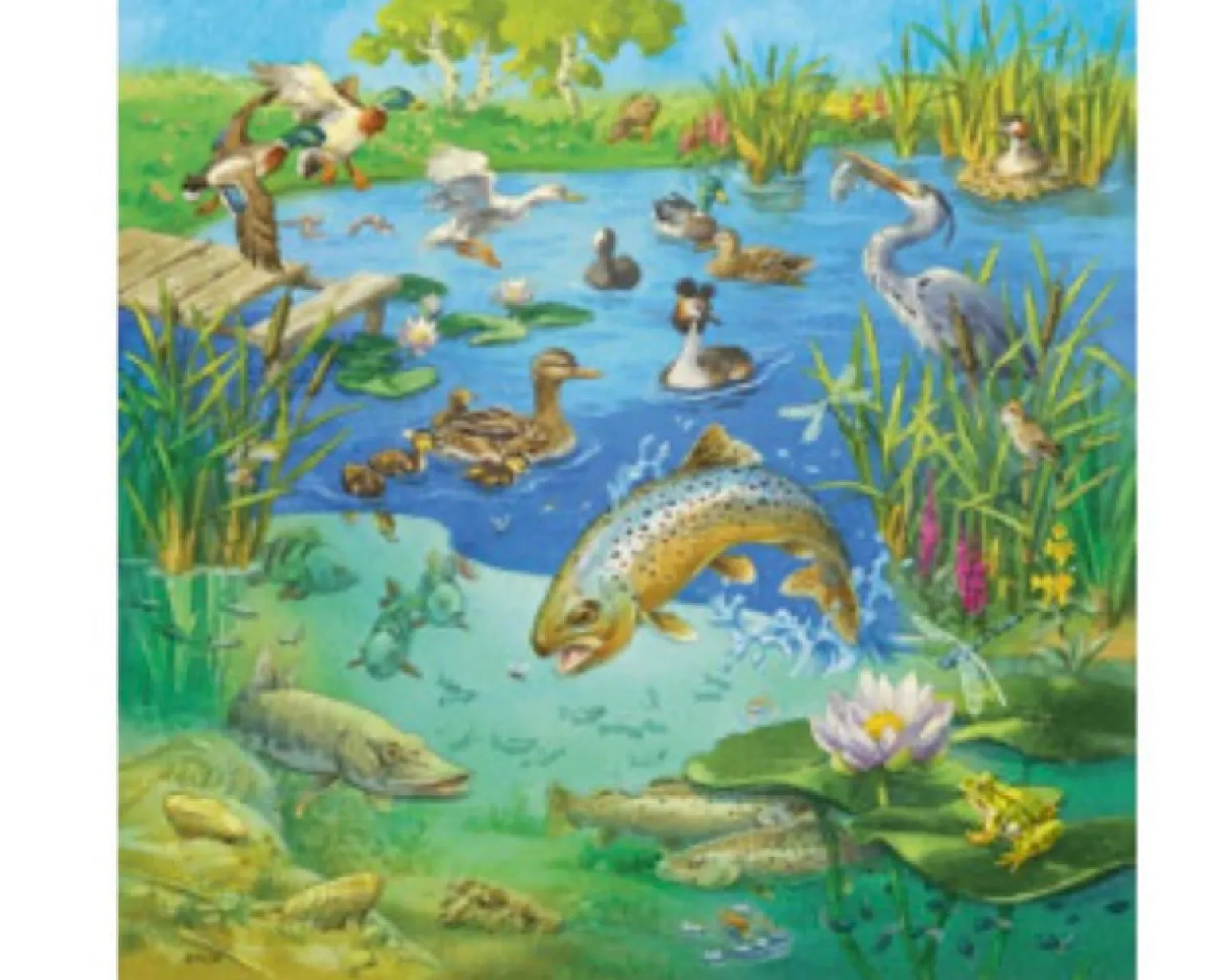 Ravensburger - Jigsaw Puzzle, 3 X49 Pieces, Animals In Their Habitats