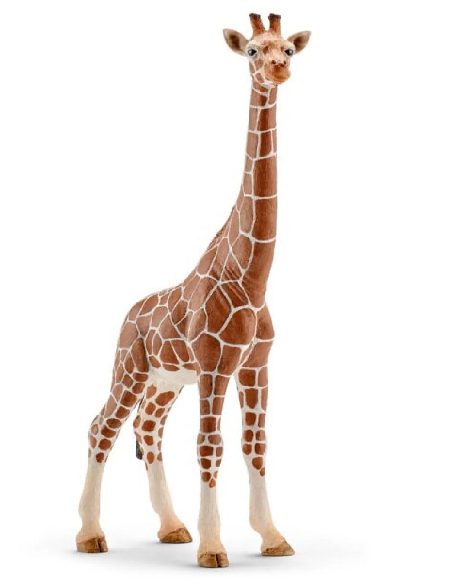 Schleich Wild Life - Giraffe Female