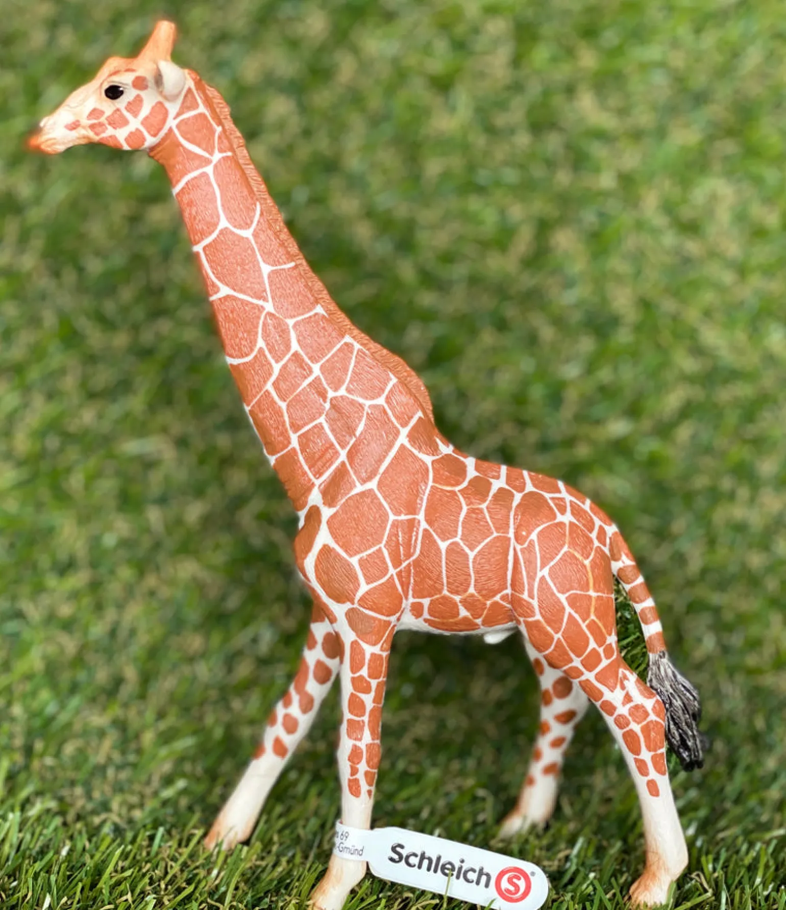 Schleich Wild Life - Giraffe Male