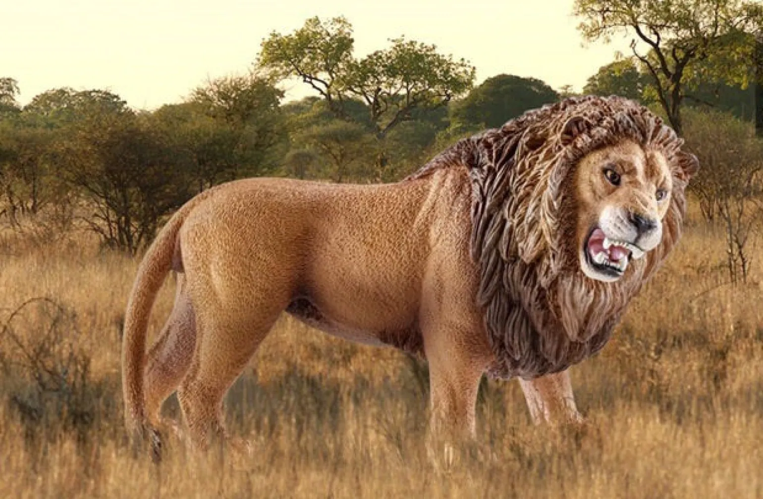 Schleich Wild Life - Lion Roaring