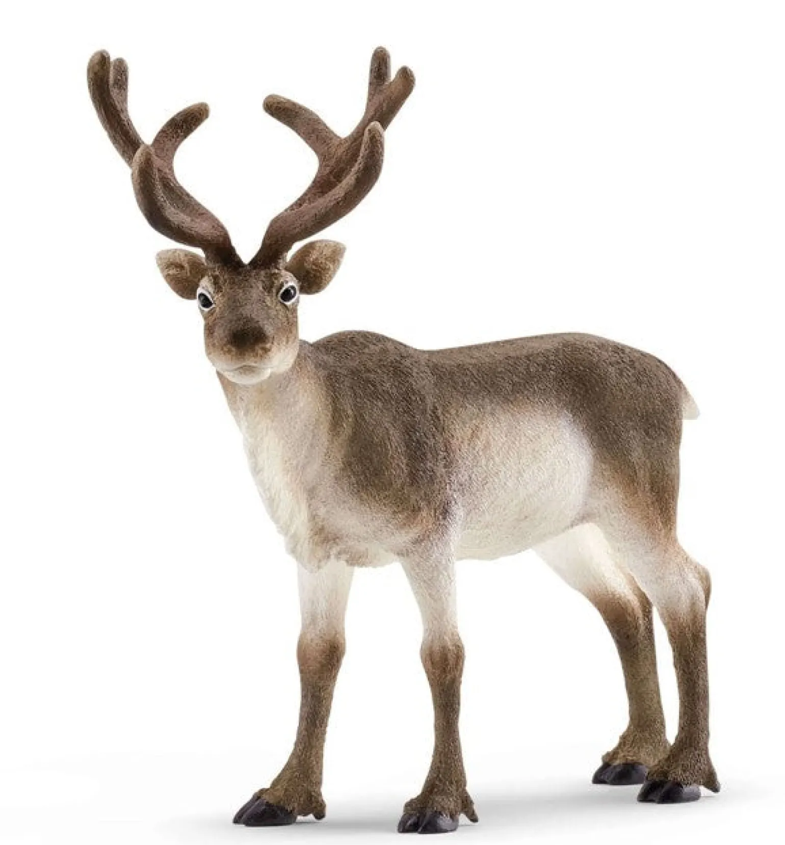 Schleich Wild Life - Reindeer