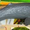 Schleich Wild Life - Sperm Whale