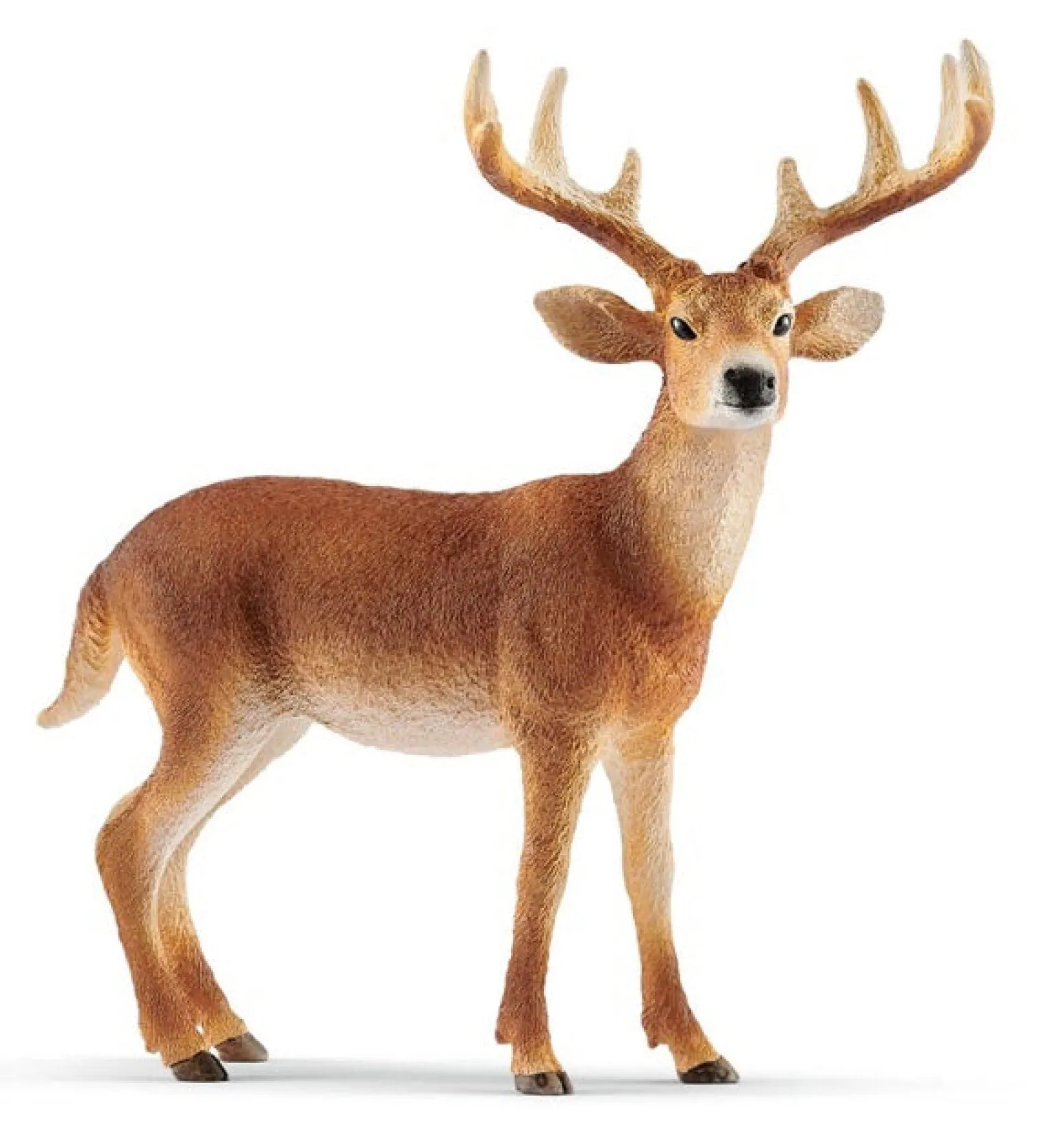 Schleich Wild Life - White-Tailed Buck