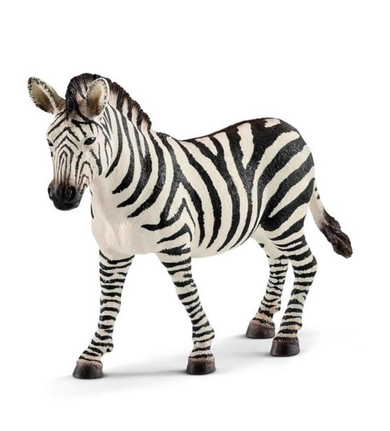 Schleich Wild Life - Zebra Female