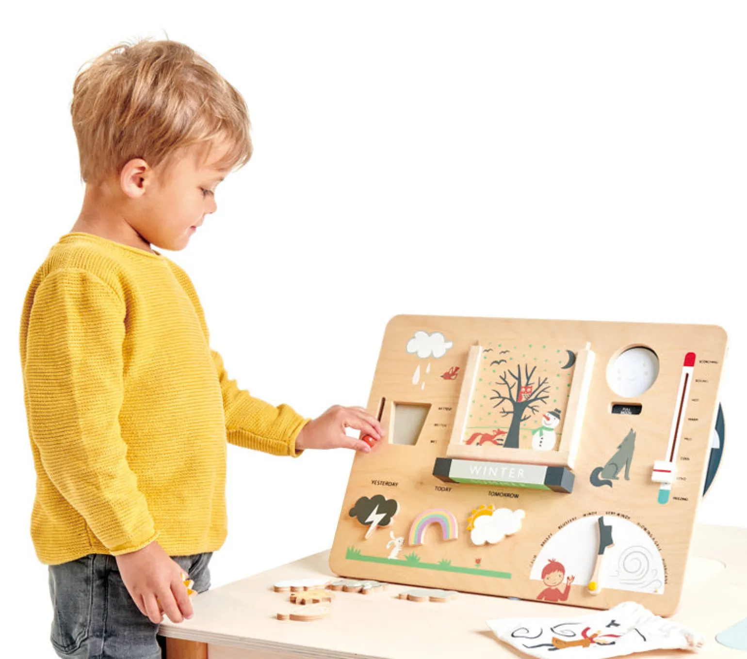 Tender Leaf Toys - Weather Station
