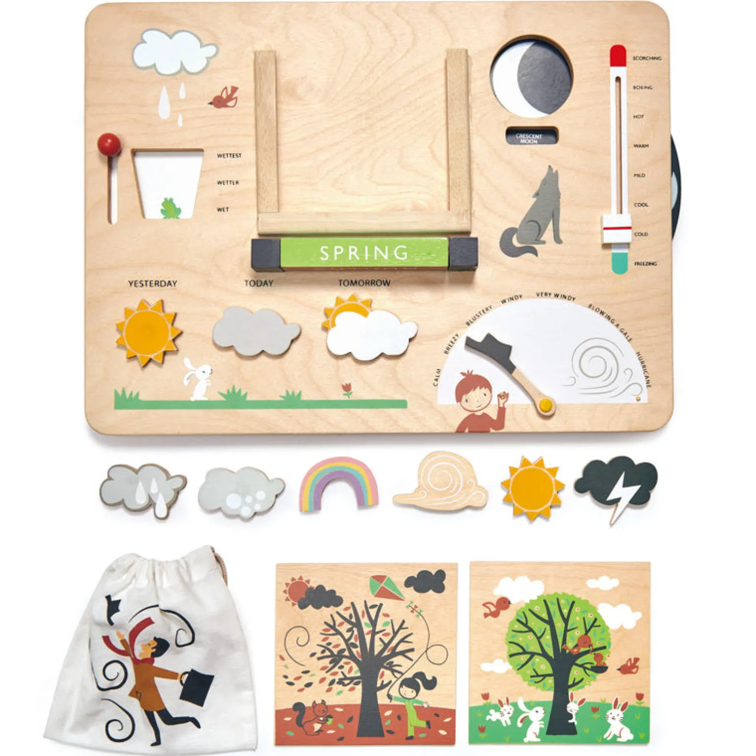 Tender Leaf Toys - Weather Station