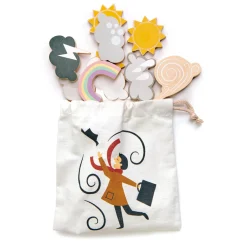 Tender Leaf Toys - Weather Station
