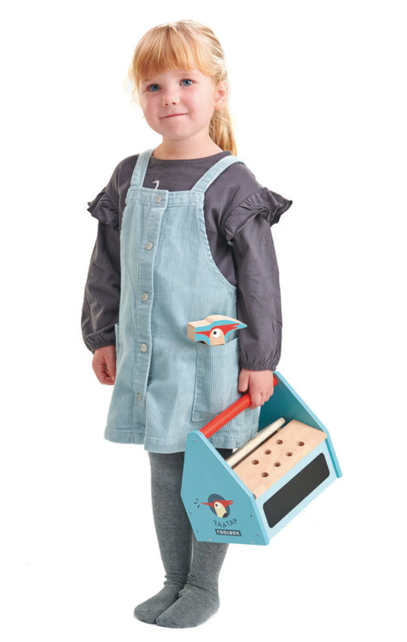 Tender Leaf Toys Tool Box