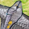 Windspeed Kites - Eagle