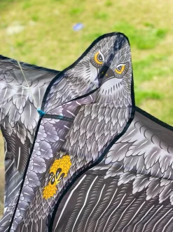 Windspeed Kites - Eagle