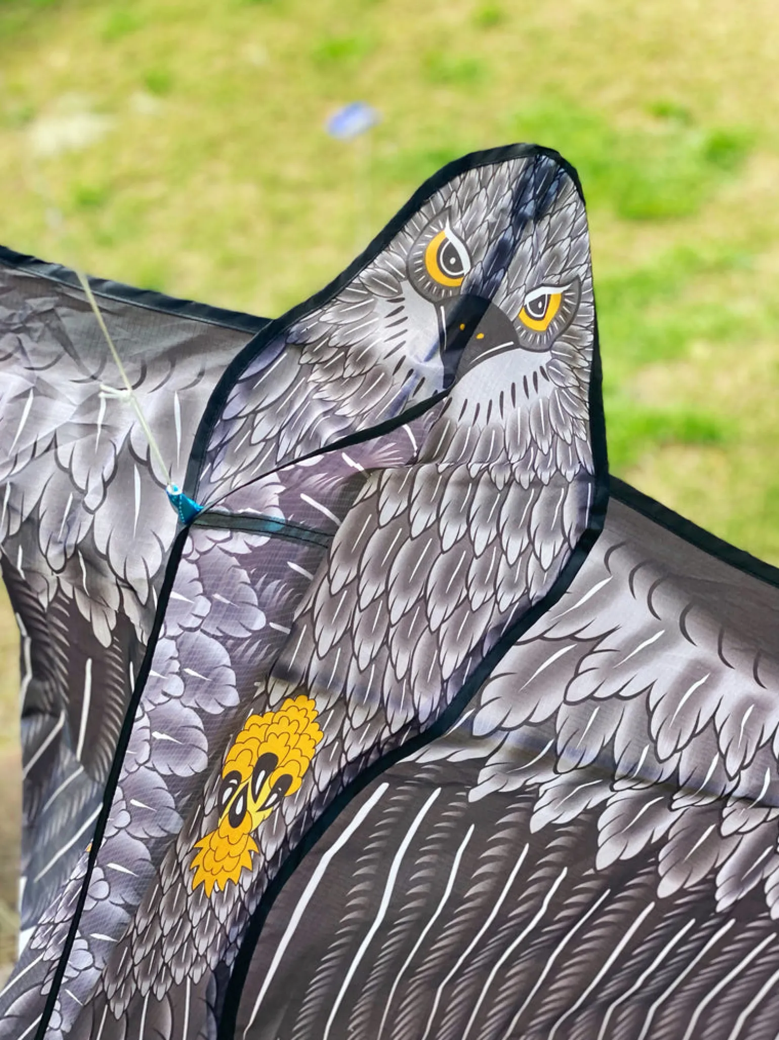 Windspeed Kites - Eagle